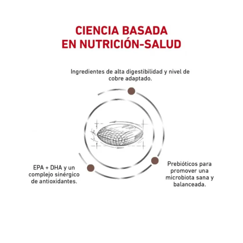 Royal Canin Alimentación Medicada^Vet Diet Dog Hepatic 10kg