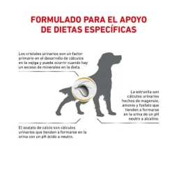 Royal Canin Alimentación Medicada^Vet Diet Dog Urinary 10kg