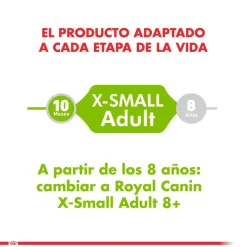 Royal Canin Adultos (1 A 7 Años)^XSmall Adult 1kg