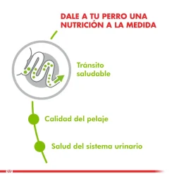 Royal Canin Adultos (1 A 7 Años)^XSmall Adult 2.5kg