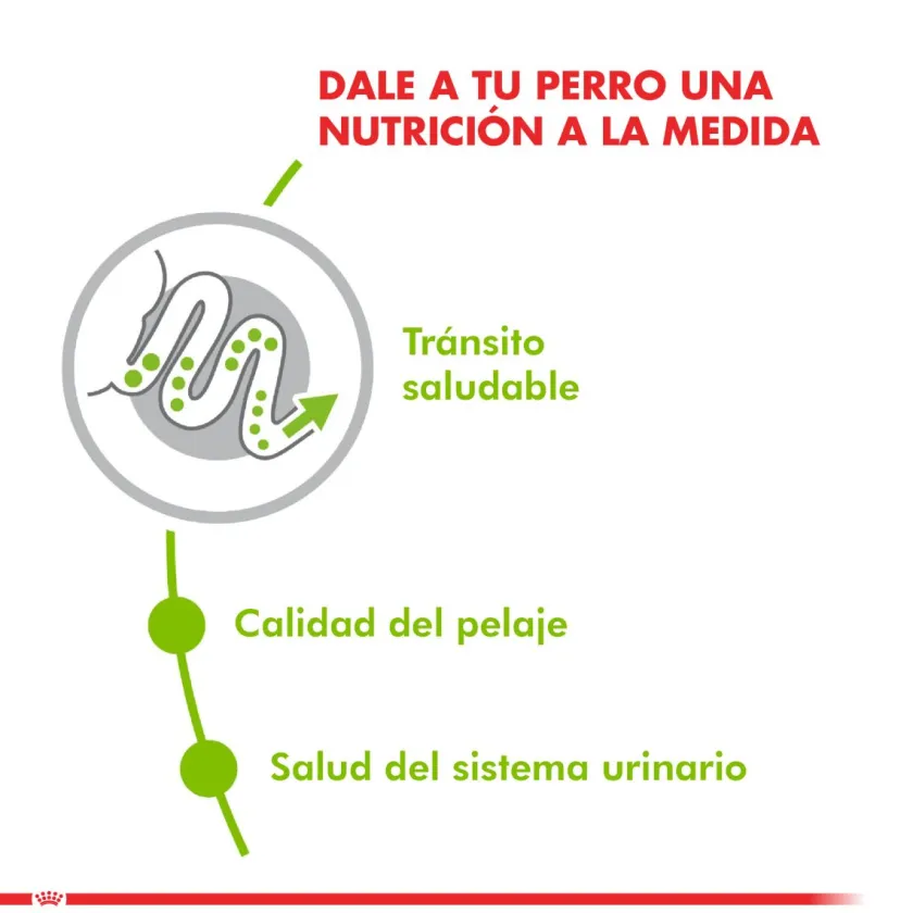 Royal Canin Adultos (1 A 7 Años)^XSmall Adult 1kg