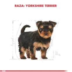 Royal Canin Específicos Para Razas^Yorkshire Terrier Puppy 3kg