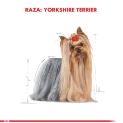 Royal Canin Específicos Para Razas^Yorkshire Terrier Adulto 3kg