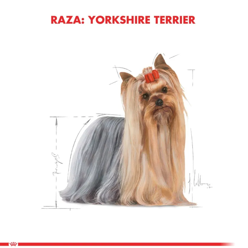 Royal Canin Específicos Para Razas^Yorkshire Terrier Adulto 7.5KG