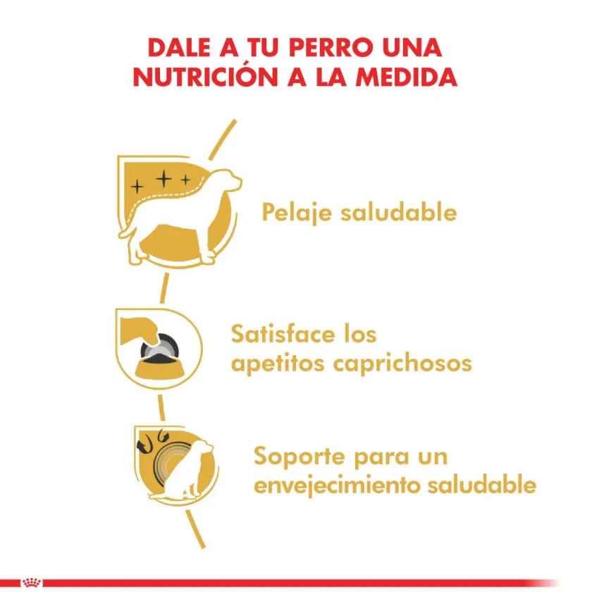 Royal Canin Específicos Para Razas^Yorkshire Terrier Adulto 7.5KG