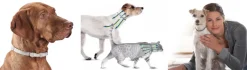 Seresto Antipulgas Y Garrapatas^Collar antipulgas para Perros de más de 8kg