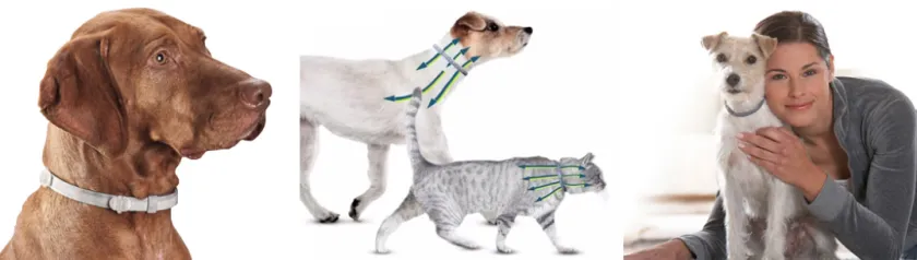 Seresto Antipulgas Y Garrapatas^Collar antipulgas para Perros de más de 8kg