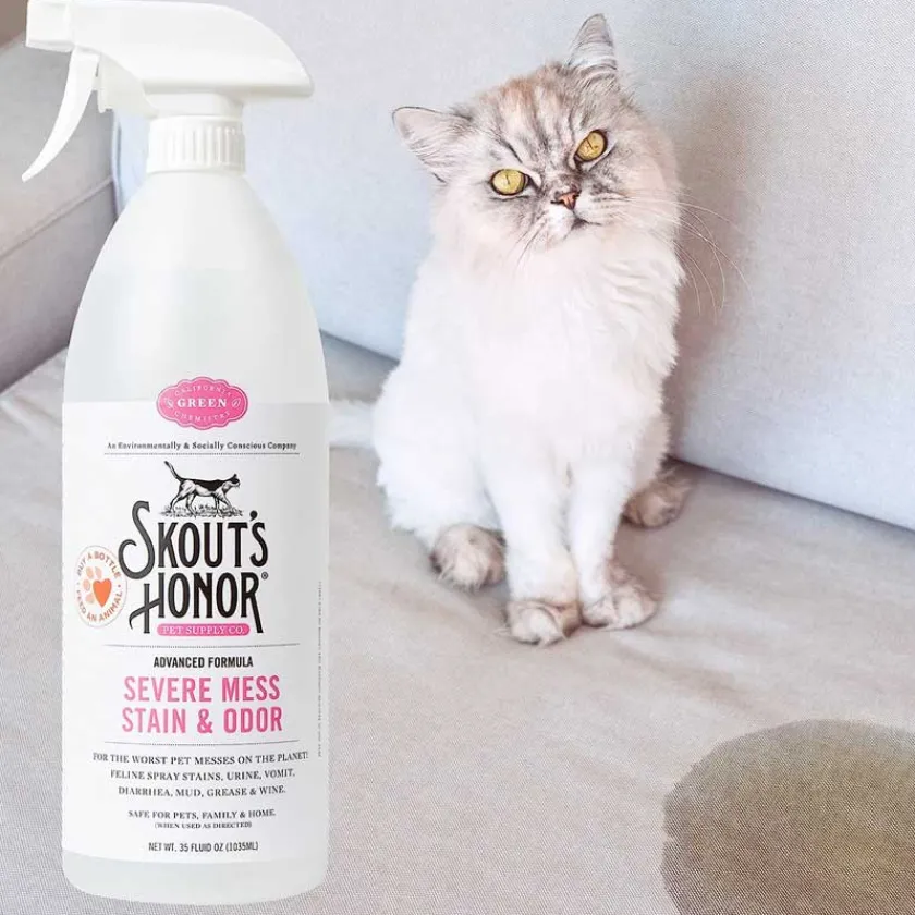 Skouts Honor Higiene Y Aseo | Limpiadores Y Desodorantes^Cat Destructor de Manchas y Olores dificiles 1 Litro