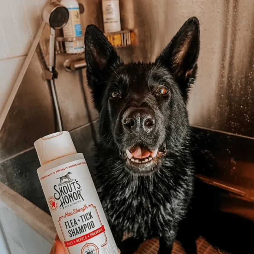 Skouts Honor Higiene Y Aseo | Adultos (1 A 7 Años)^Dog Shampoo Pulgas/Garrapatas 473ml