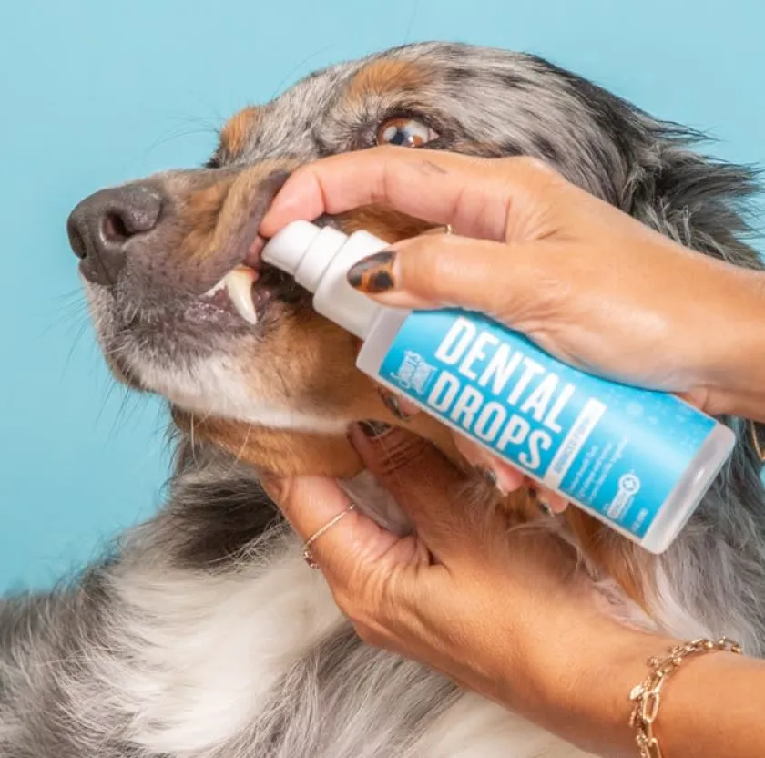 Skouts Honor Higiene Y Aseo | Control Peso^Skout's Honor Gotas para Cuidado Dental 118 ml