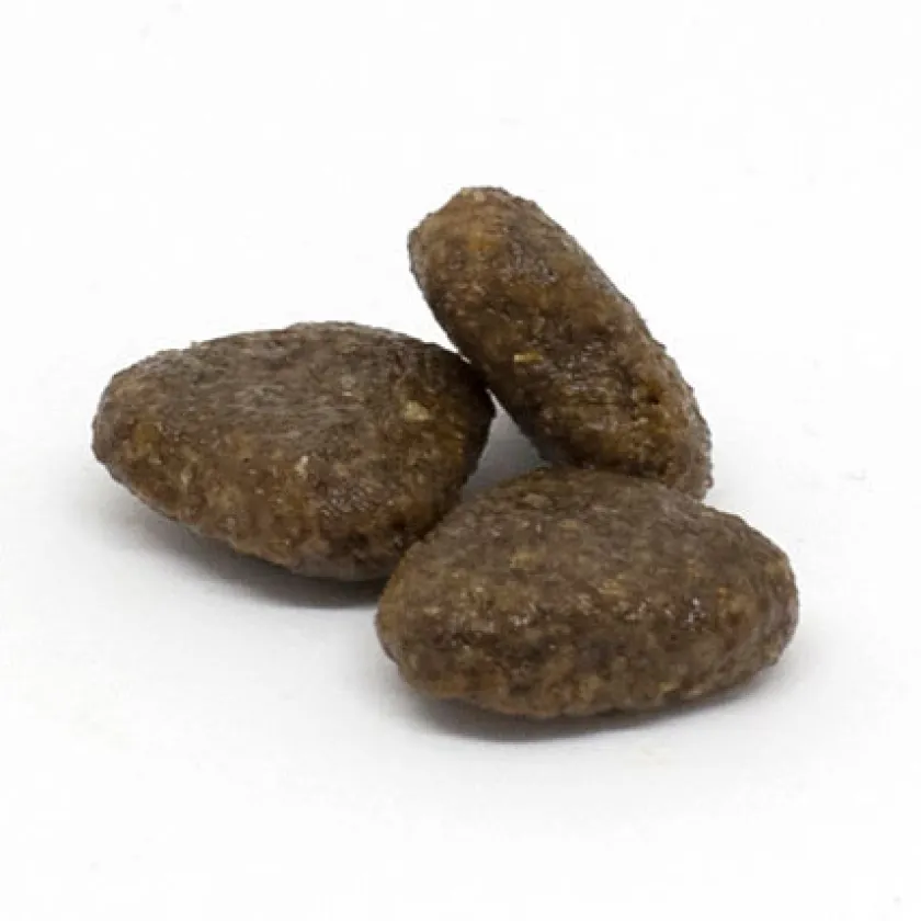Summit 10 Cachorros (0 A 12 Meses)^Dog Grain Free Puppy Sensitive 8kg