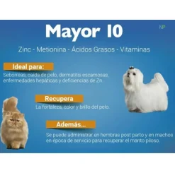 Mayors Vitaminas Y Suplementos^Suplemento nutricional MAYOR 10 pelo y piel 30 comp