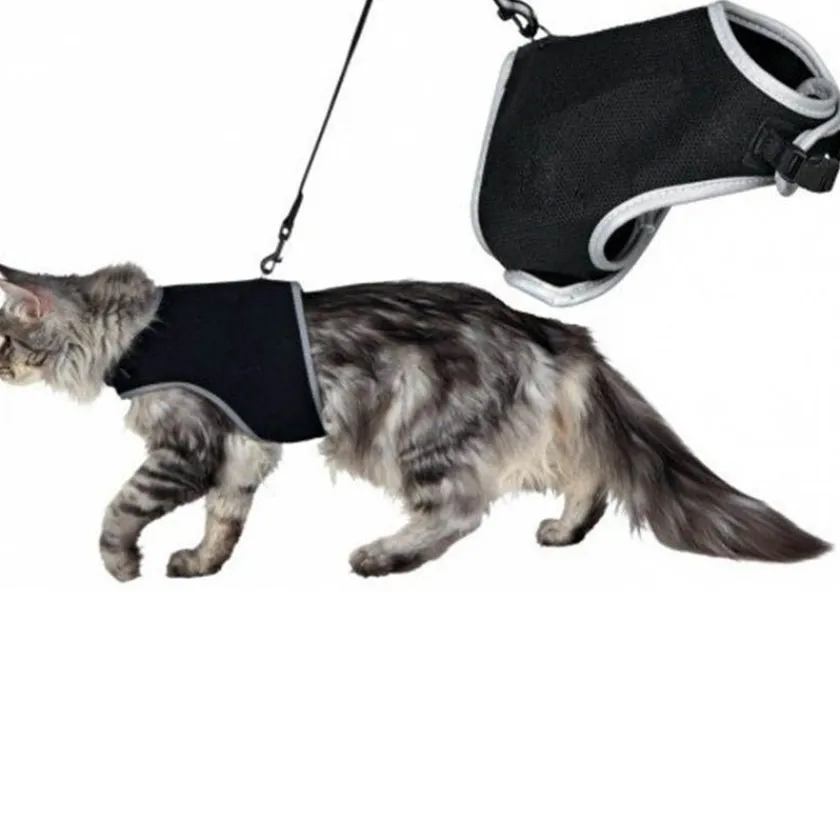 Trixie Arnes, Collares, Correas^arnés para Gatos