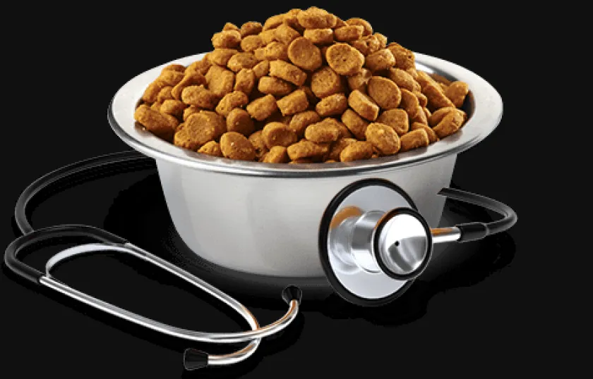 Vet Life Alimentación Medicada^Cat Renal 7.5kg