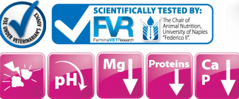 Vet Life Alimentación Medicada^Cat Urinary Struvite Lata 85gr