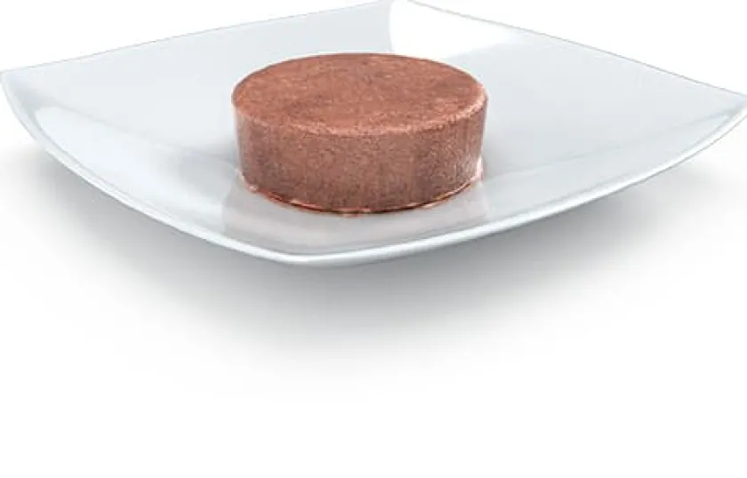 Vet Life Alimentación Medicada^Dog GastroIntestinal Lata 300gr