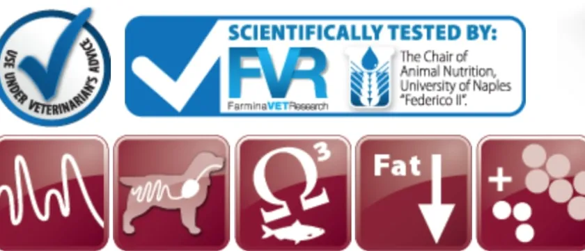 Vet Life Alimentación Medicada^Dog GastroIntestinal Lata 300gr