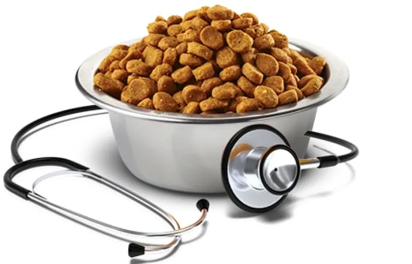 Vet Life Alimentación Medicada^Dog Mini Obesity Diabetic 2kg