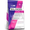 VitalCan Gatitos (0 A 12 Meses)^Cat Kitten 2kg