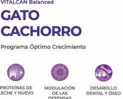 VitalCan Gatitos (0 A 12 Meses)^Cat Kitten 7.5kg