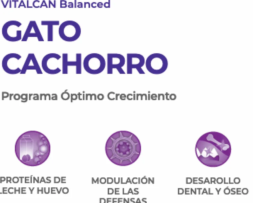 VitalCan Gatitos (0 A 12 Meses)^Cat Kitten 7.5kg