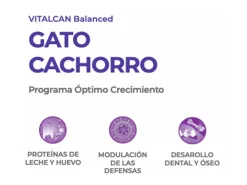 VitalCan Gatitos (0 A 12 Meses)^Cat Kitten 2kg