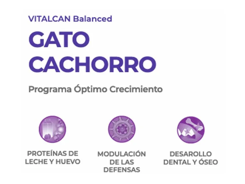 VitalCan Gatitos (0 A 12 Meses)^Cat Kitten 2kg