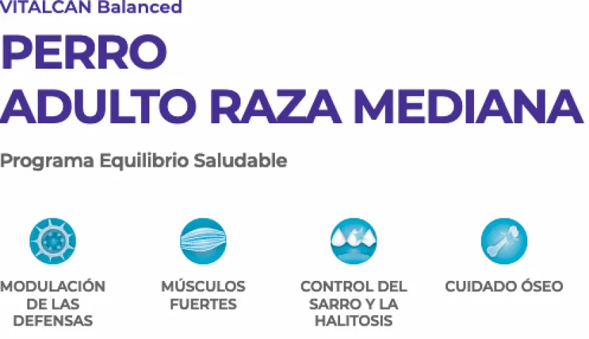 VitalCan Adultos (1 A 7 Años)^Perro Adulto Raza Grande 3kg