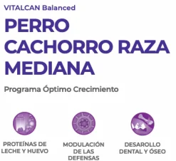 VitalCan Cachorros (0 A 12 Meses)^Perro Cachorro Raza Mediana 12kg