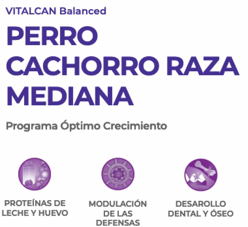 VitalCan Cachorros (0 A 12 Meses)^Perro Cachorro Raza Mediana 12kg
