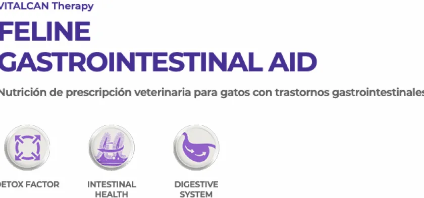 VitalCan Alimentación Medicada^Therapy Felino Gastrointestinal Aid 2kg