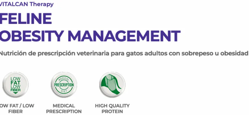 VitalCan Alimentación Medicada^Therapy Felino Obesity 2kg