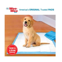 Fit Formula Carpetas De Entrenamiento | Higiene Y Aseo^Wee Wee Four Paws Dogs Pee Pads 100 Un