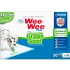Fit Formula Adiestramiento | Senior (+7 Años)^wee-wee four paws grass scent pads 50 un