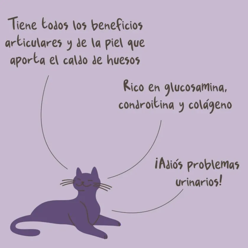 Winga Vitaminas Y Suplementos | Húmedos^Caldo de Huesos para Gatos 180gr
