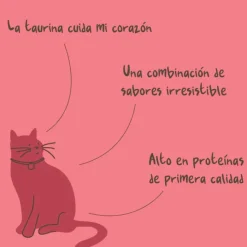 Winga Galletas | Productos Outlet^Magic Salmón Snack para Gatos 60gr