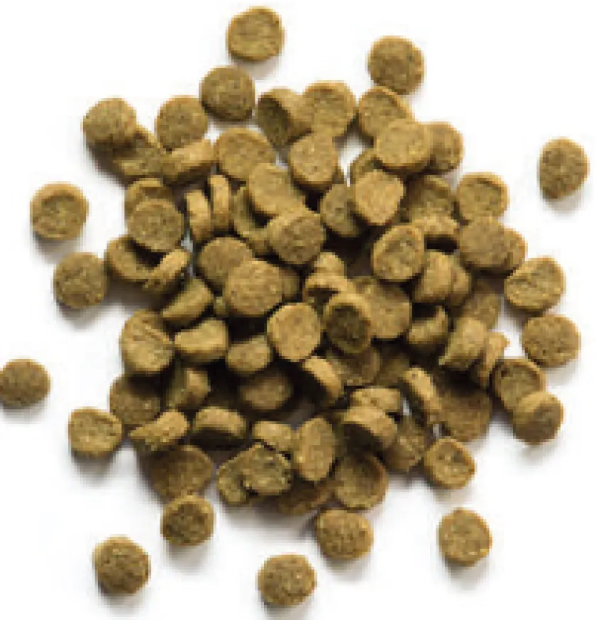 Zupreem Hurones^Grain Free Ferret Diet 1.8kg